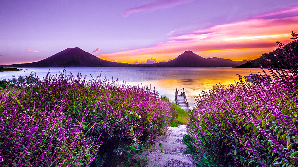 Purple mountains and yellow-purple sea scene with beautiful purple flowers under a purple, pinkish, bright sky